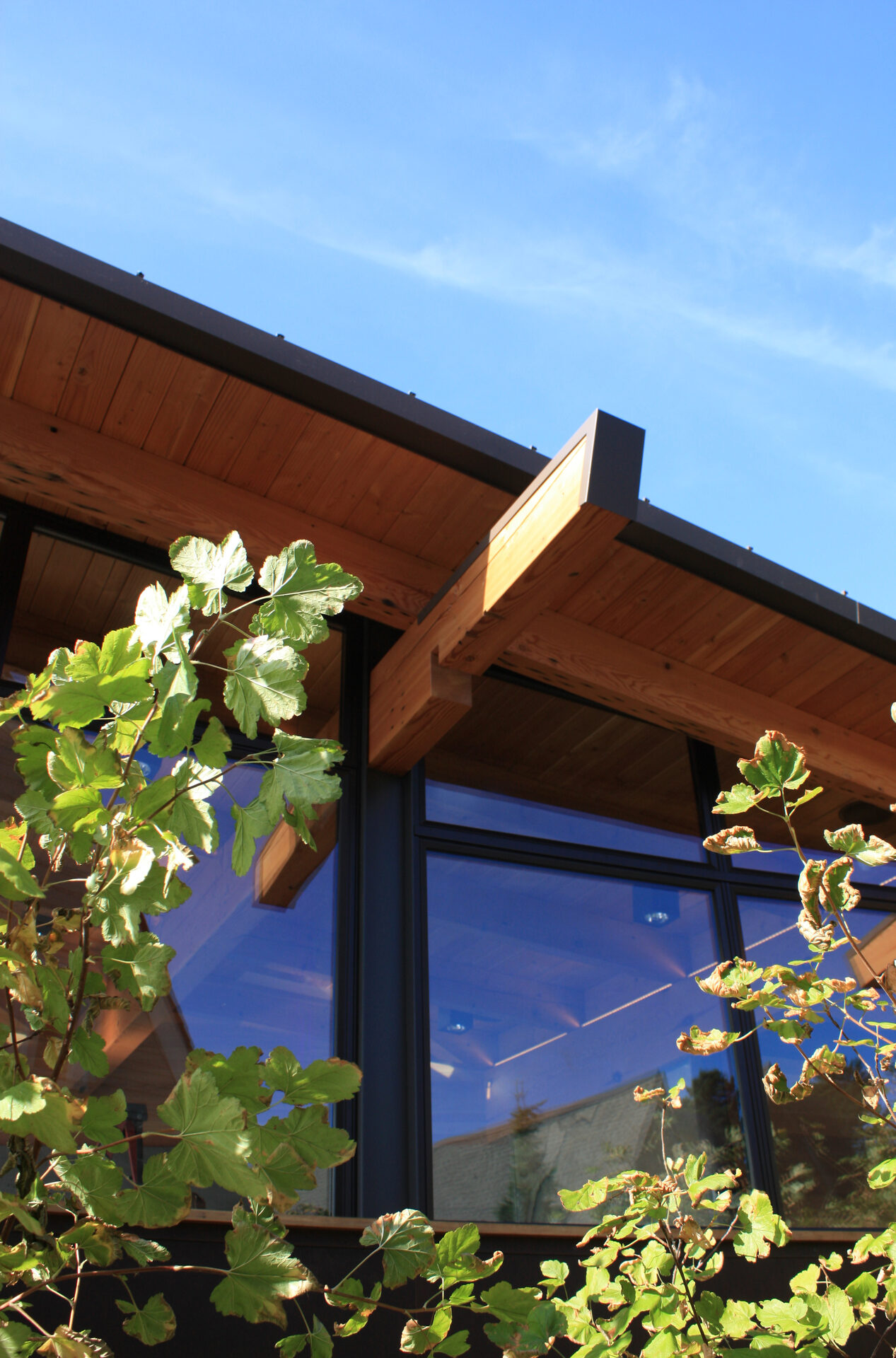 Garden Pavilion — residential architecture, Seattle, WA